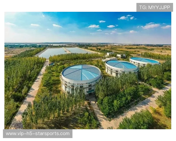 青少年+绿色+科技：俱乐部紧扣主题，创新行业发展新局面